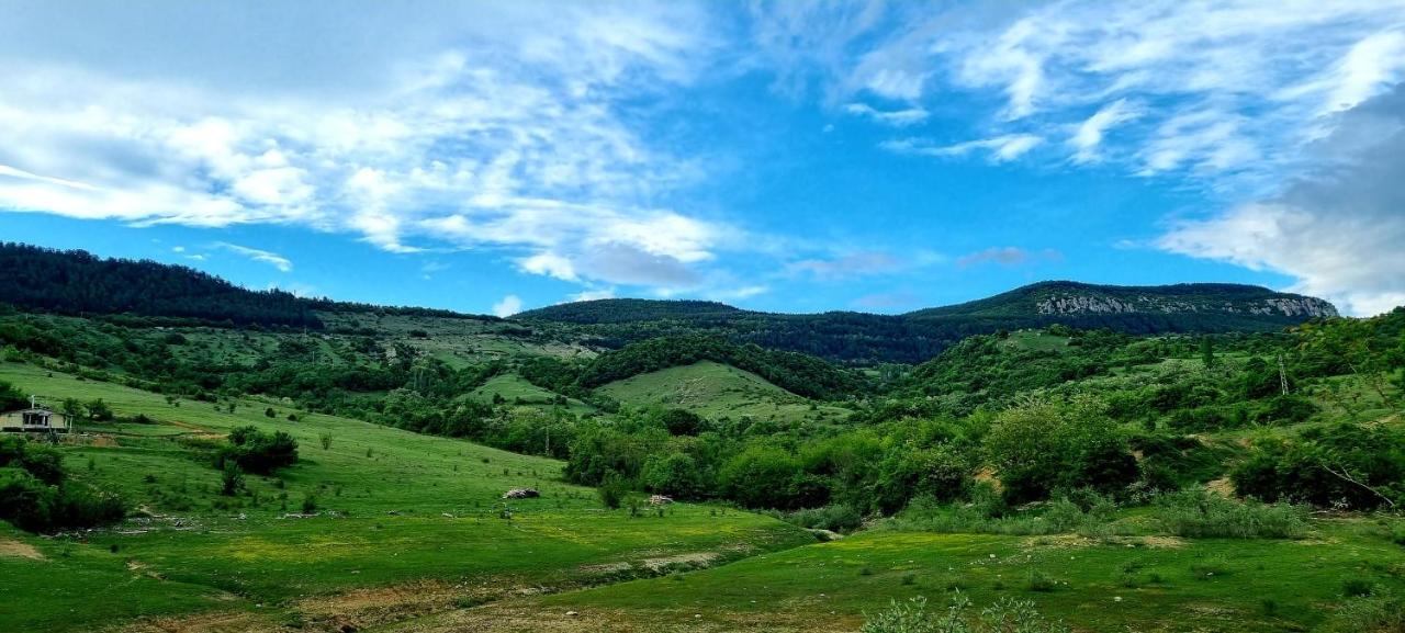 Villa Eskici Staro Myasto Exteriér fotografie
